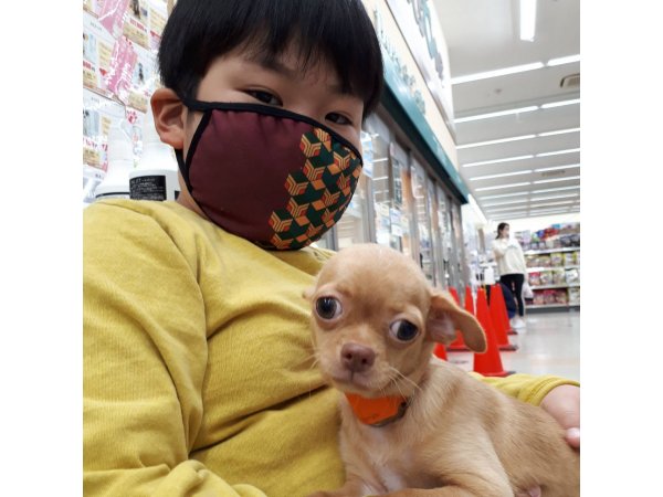 写真