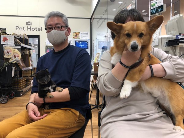 写真