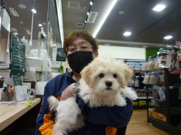 写真
