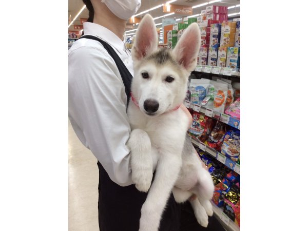 写真