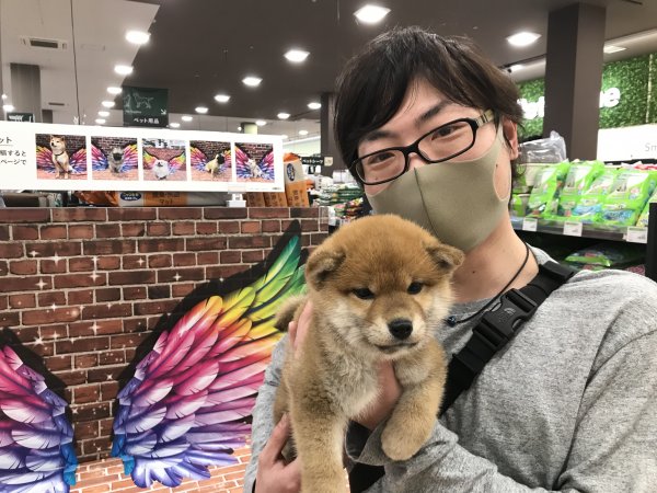 写真