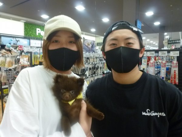 写真