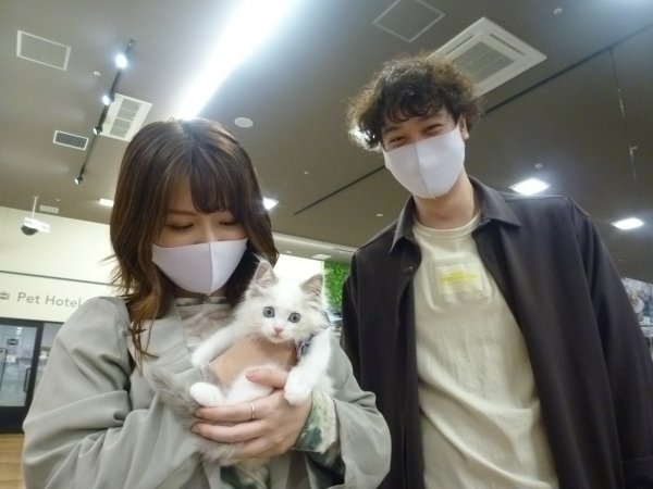写真