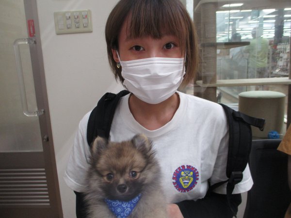 写真