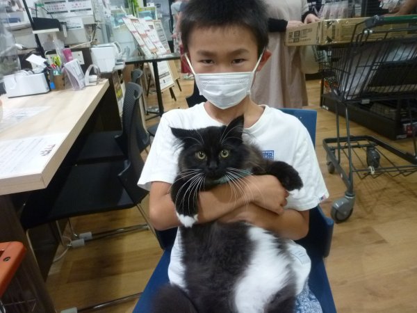 写真