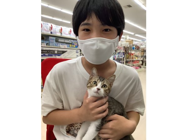 写真