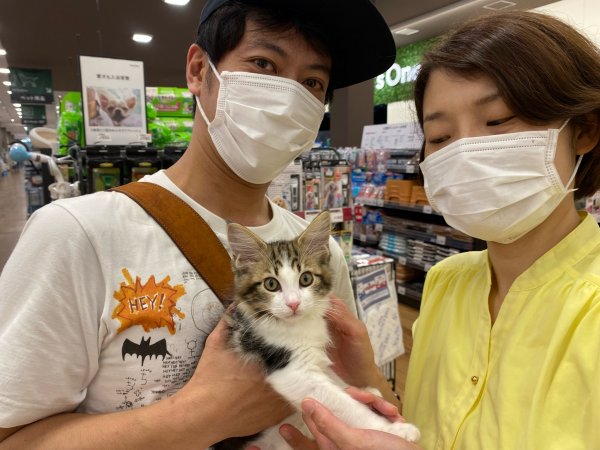 写真