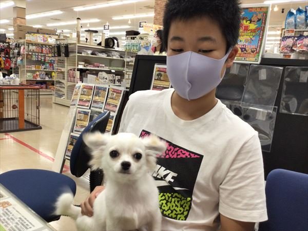 写真