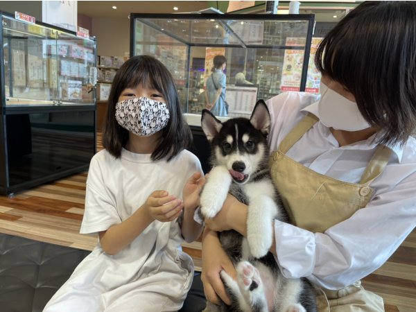写真