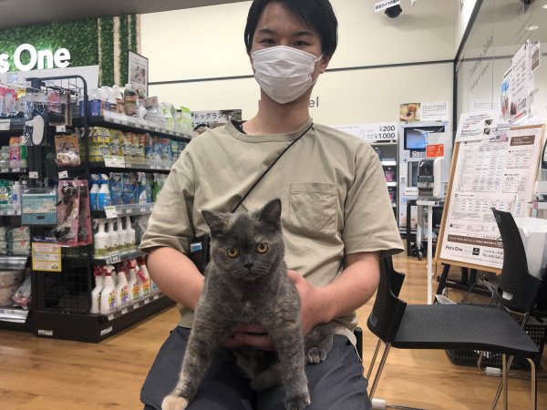 写真