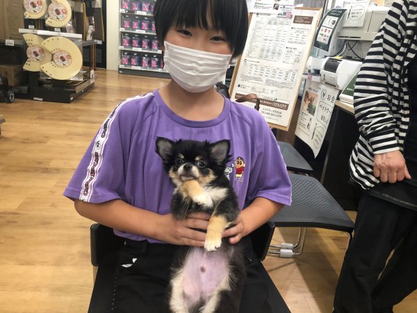 写真