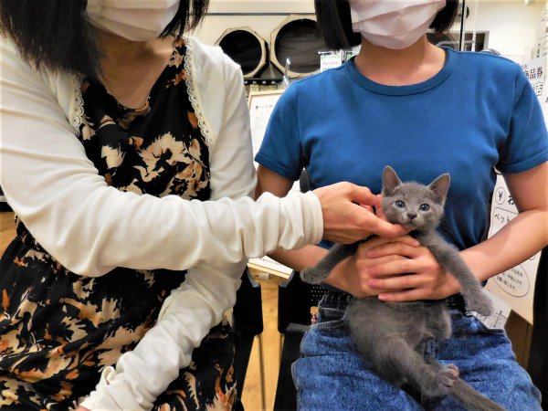 写真