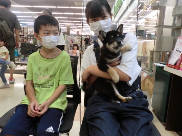 写真