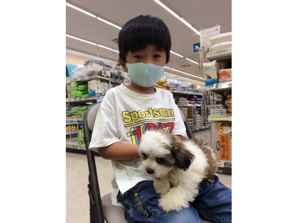写真