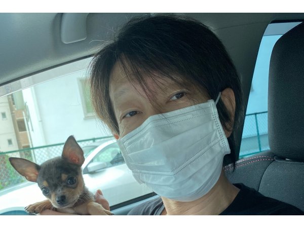 写真