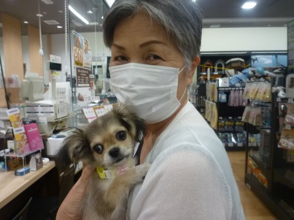 写真