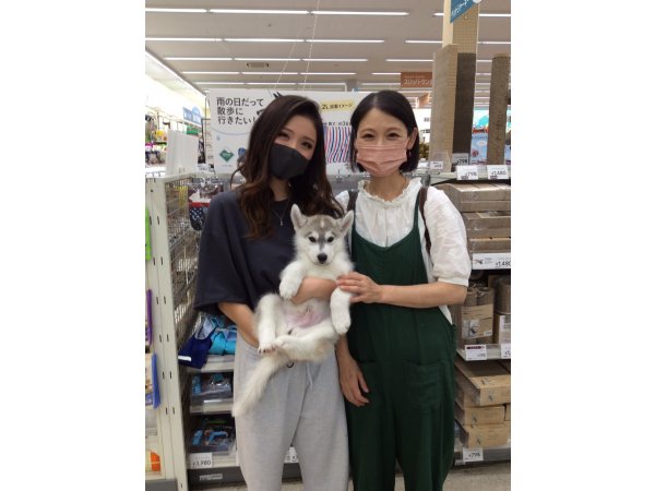 写真