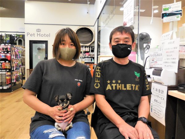 写真