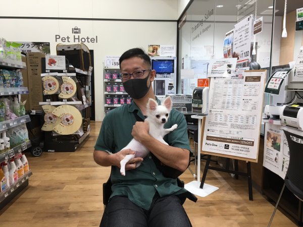 写真