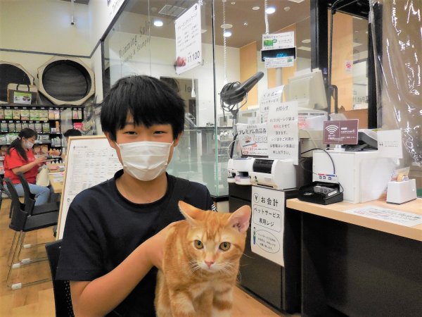 写真