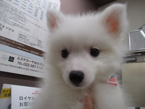 写真