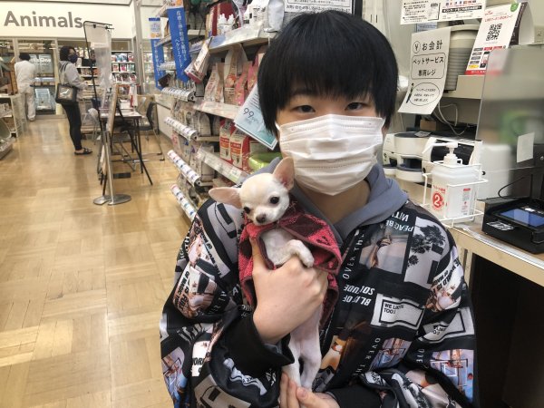 写真