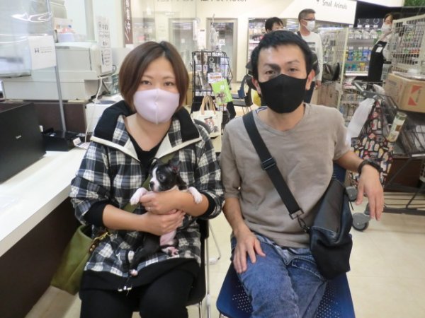 写真