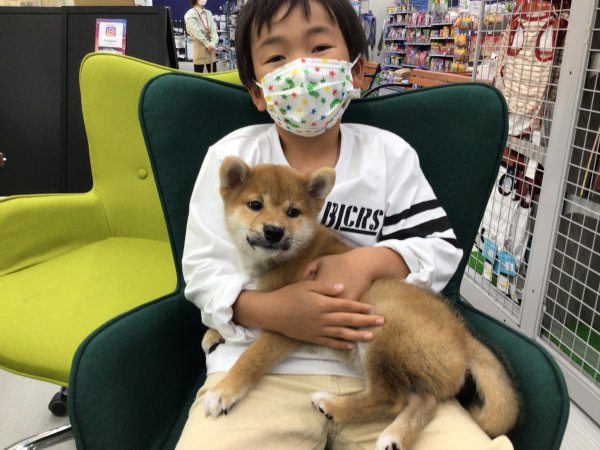 写真