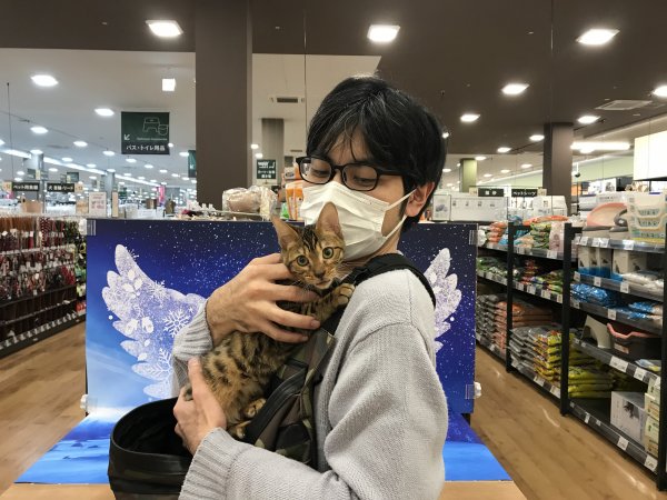 写真