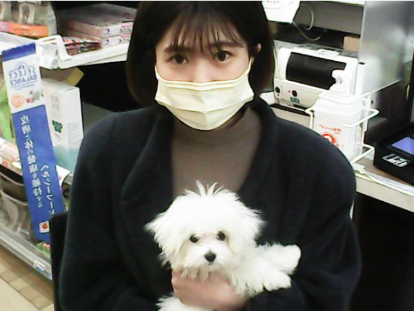写真
