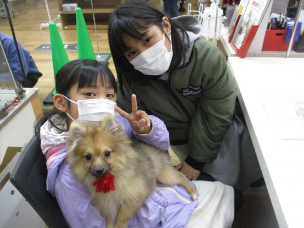 写真