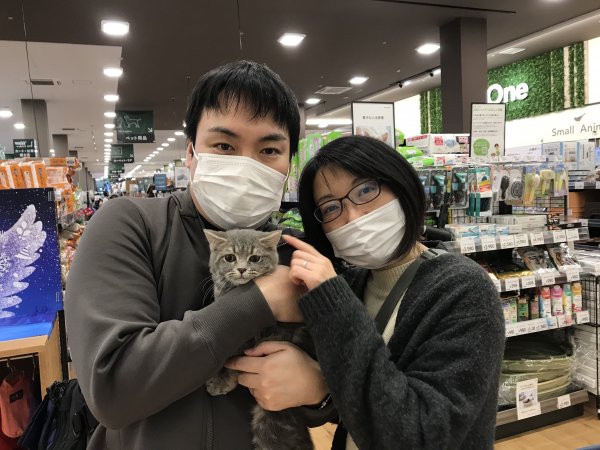 写真