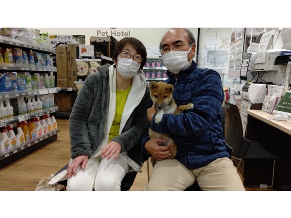 写真