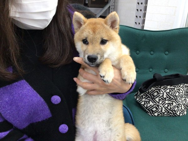 写真