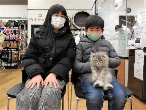 写真
