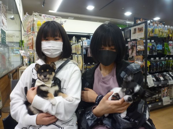 写真