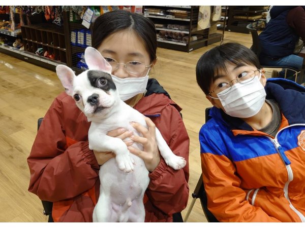 写真