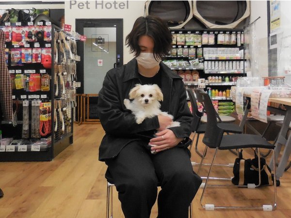 写真