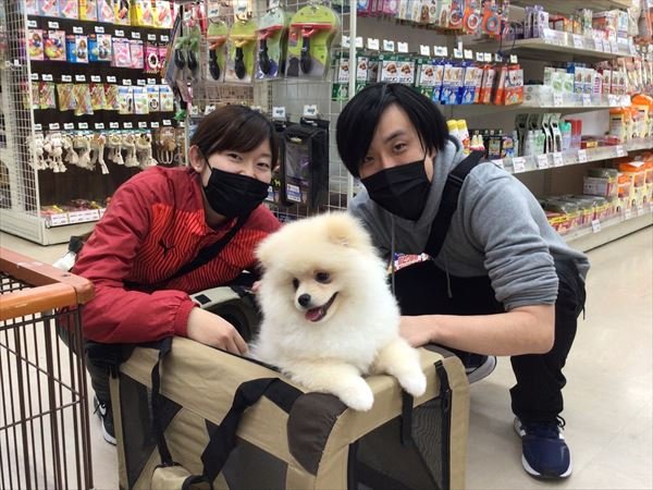 写真