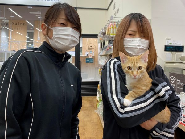 写真