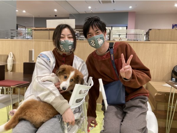 写真