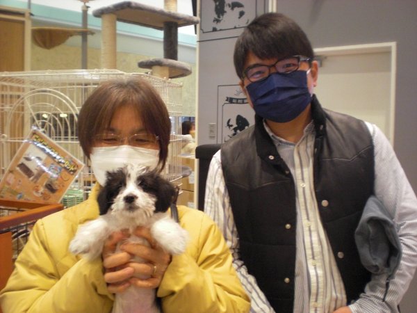 写真