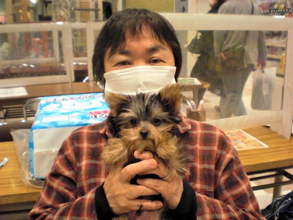 写真
