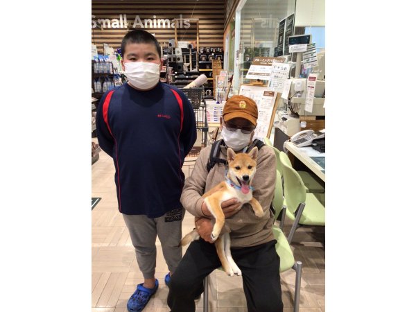 写真