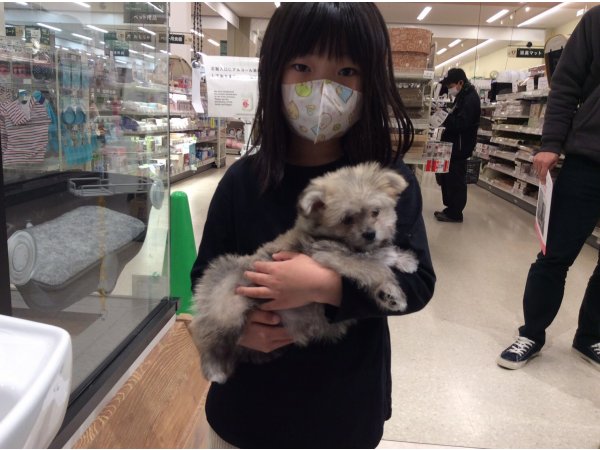写真