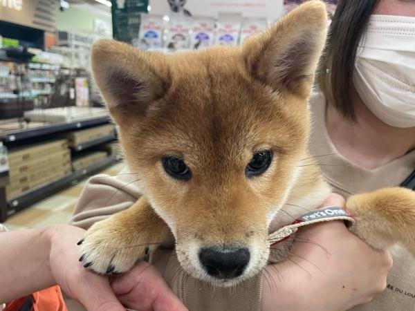 写真