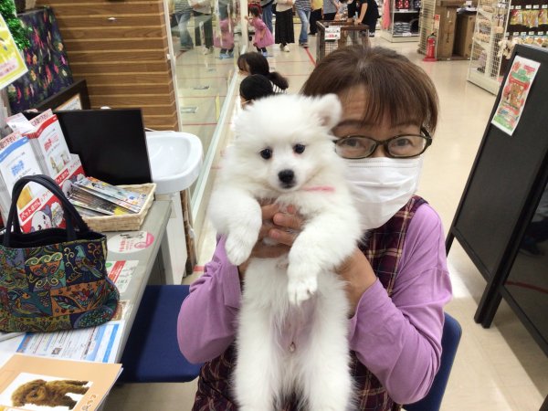 写真