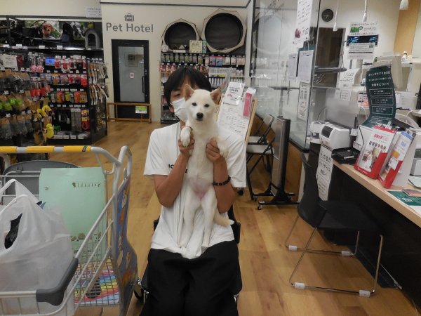 写真