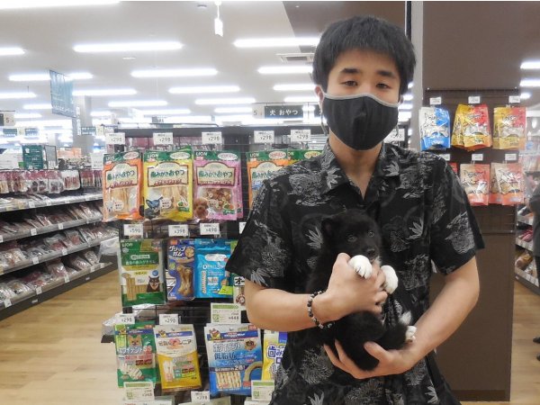 写真