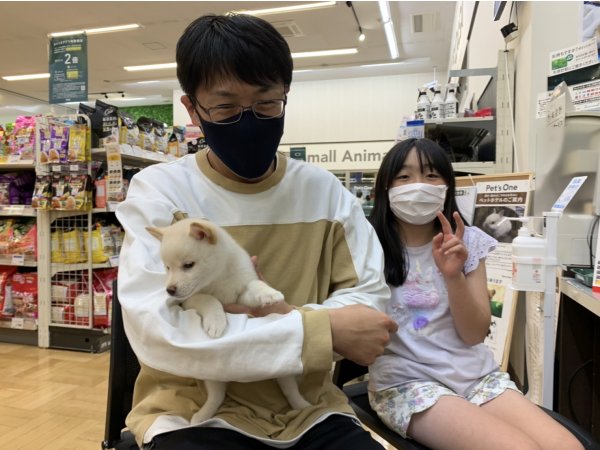 写真